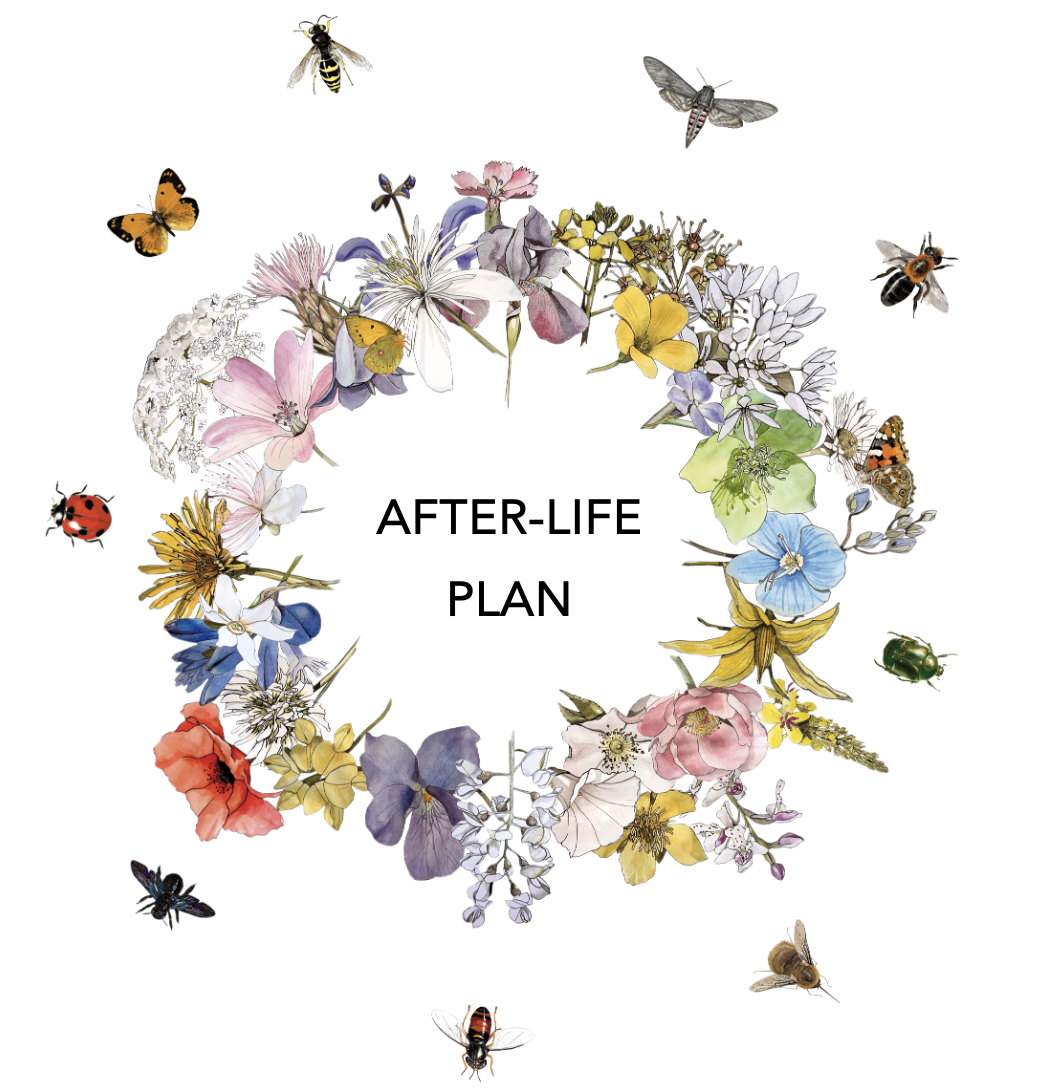 After-LIFE Plan