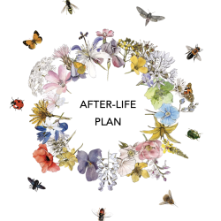 After-LIFE Plan